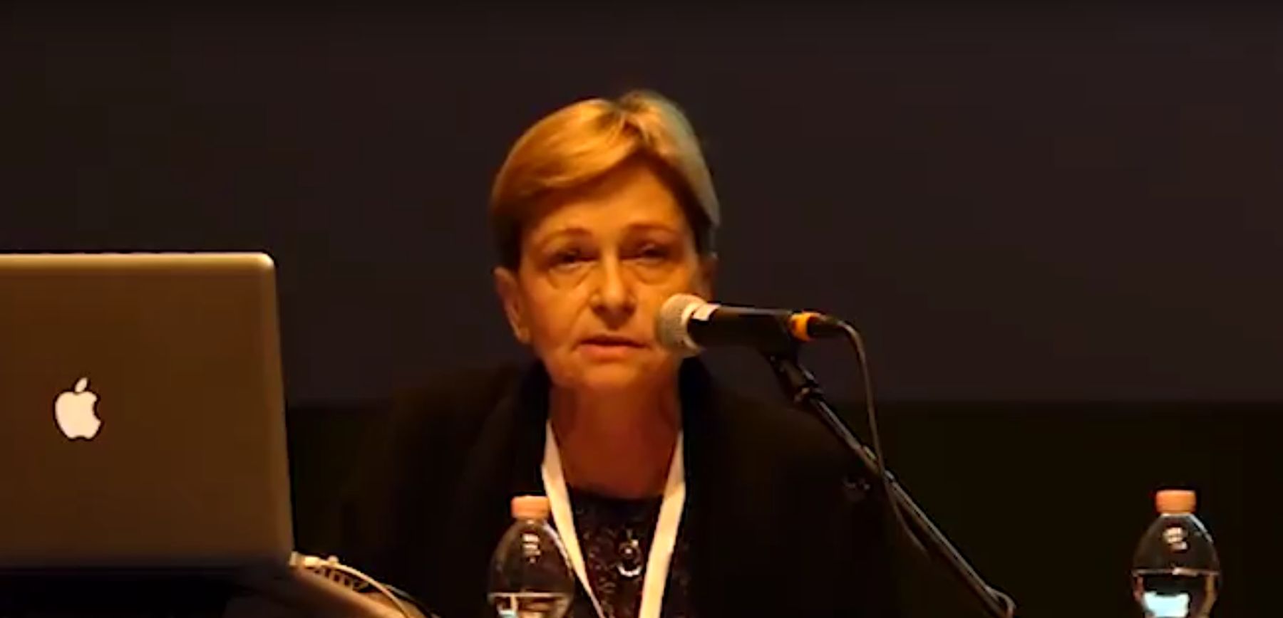 Milena Žic Fuchs
