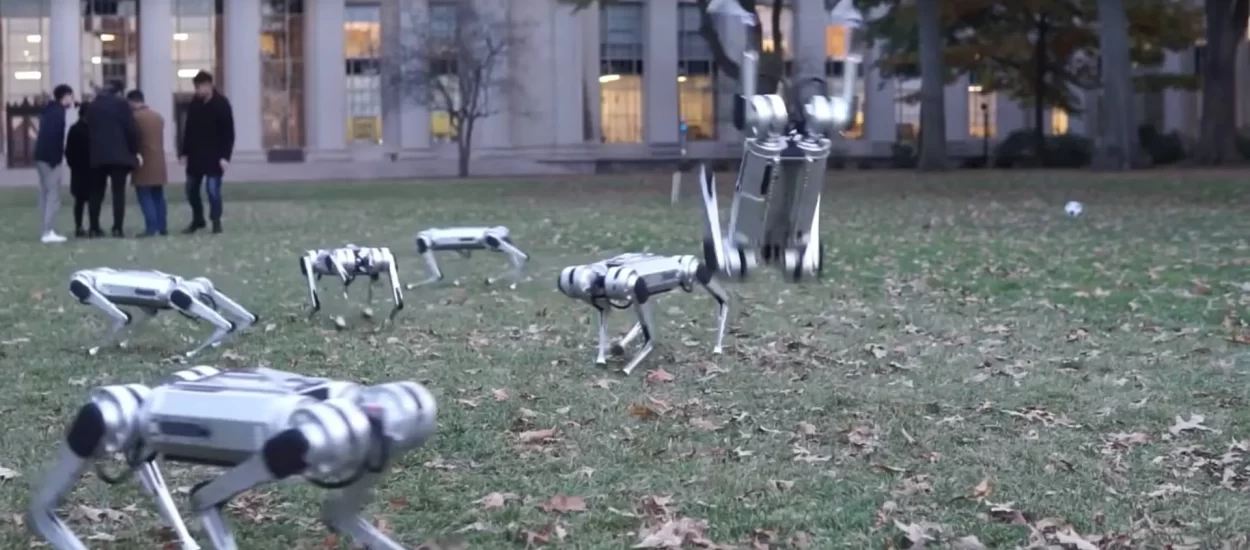 Norijada ‘robo-geparda’ u dvorištu MIT-a: VIDEO