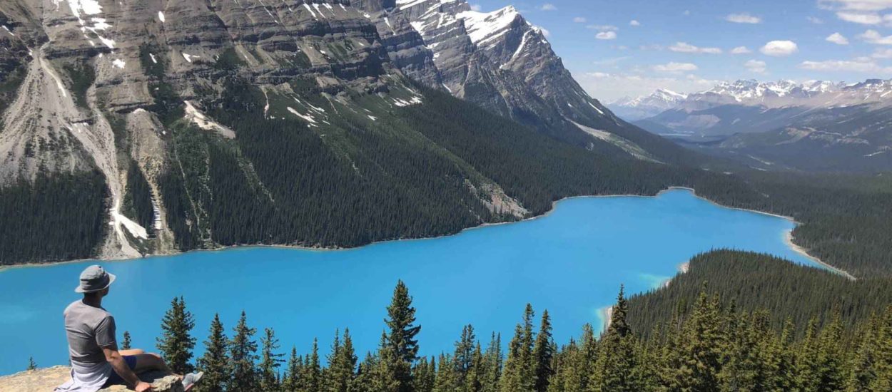 Tirkizne vode Peyto jezera u Kanadskom Stjenjaku: GIF