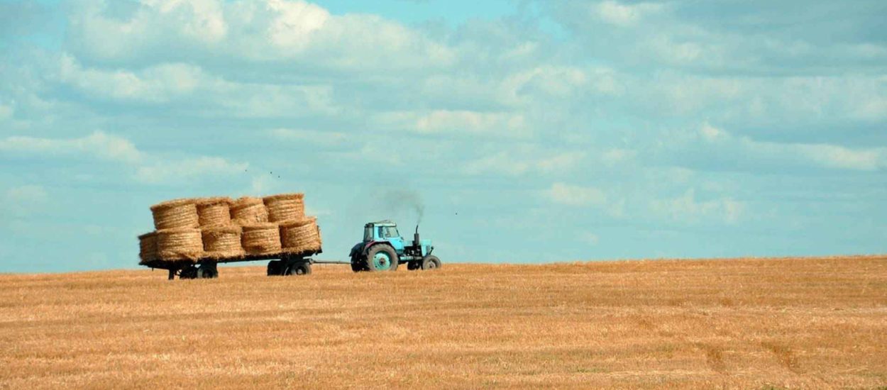 Realni dohodak u poljoprivredi 4,9% manji nego lani: prva procjena DZS-a