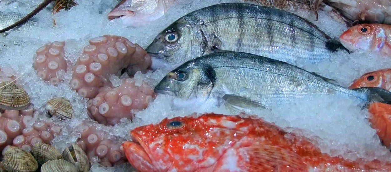 Vrijednost ribarstva u 2018. u odnosu na 2017. porasla za 16,5%: DZS