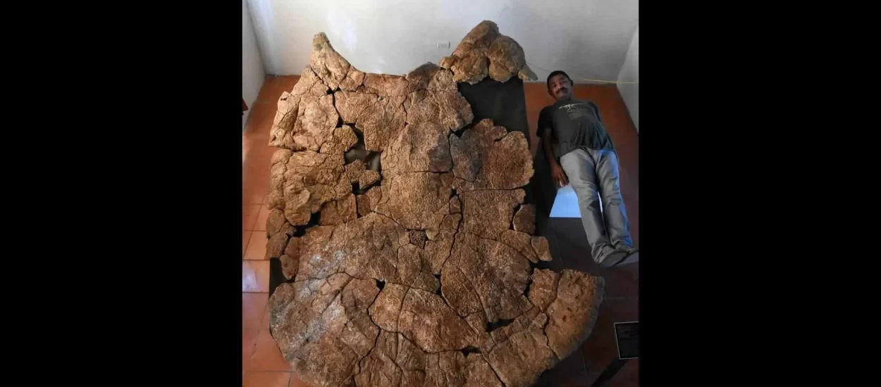 Pronađen je novi fosil ‘nevjerojatne kornjače’ – Stupendemys geographicus: VIDEO
