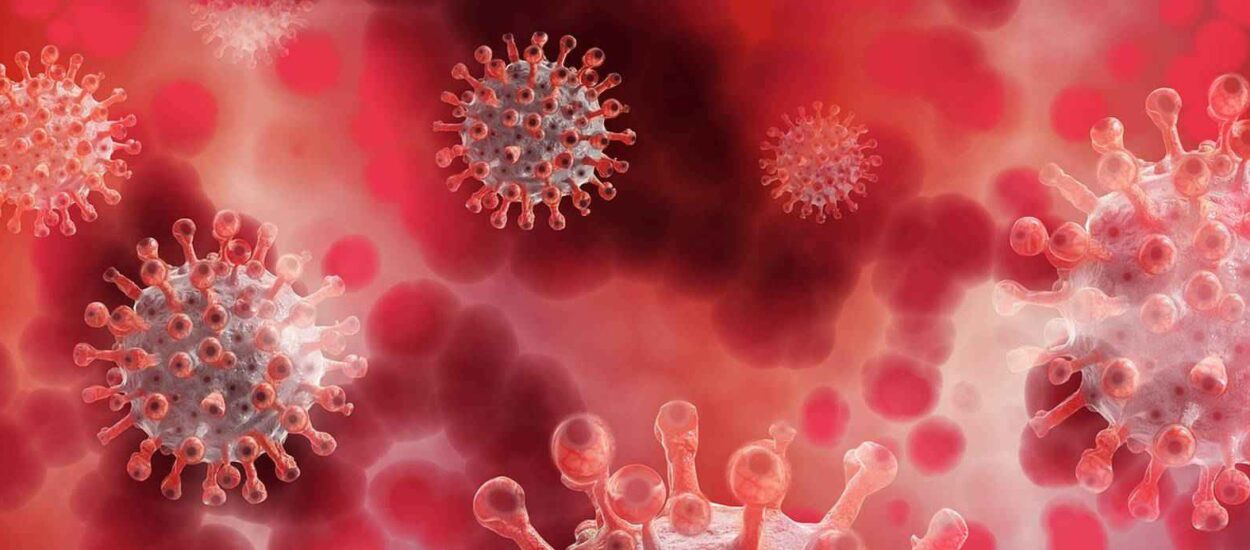 Otkrili smo spojeve koji usporavaju ili zaustavljaju razmnožavanje koronavirusa SARS–CoV-2: Đikić  