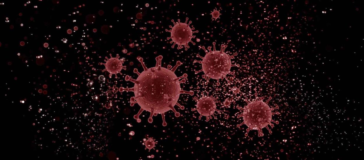 U Ličko-senjskoj županiji pozitivno 65% testiranih; epidemiolog Stanić: virus je posvuda