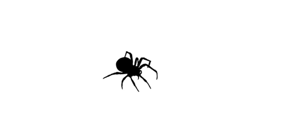 ‘Robusni’ pauk dobio ime po Mati Parlovu  
