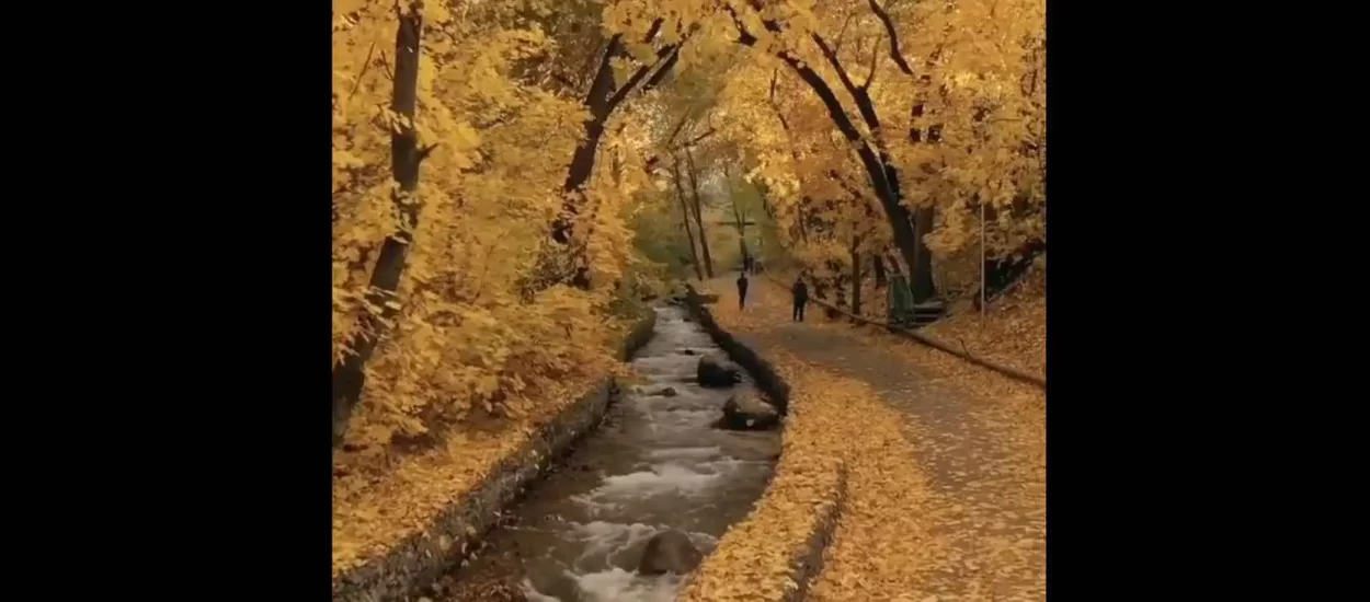 Zlaćani listopad u Kazahstanu | VIDEO