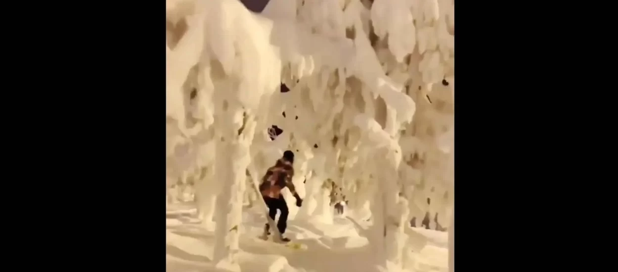 Snowboarding kroz winter wonderland | VIDEO + pjesmica