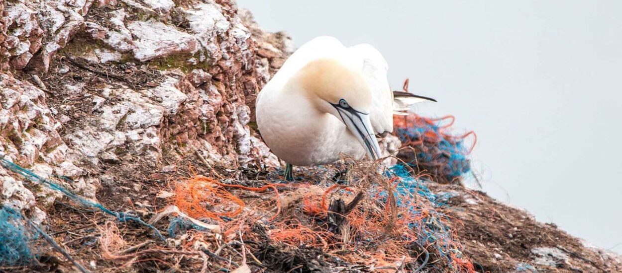 Od 3. srpnja zabrana jednokratne plastike, praćenje i izvješćivanje o ribarskom alatu | Komisija