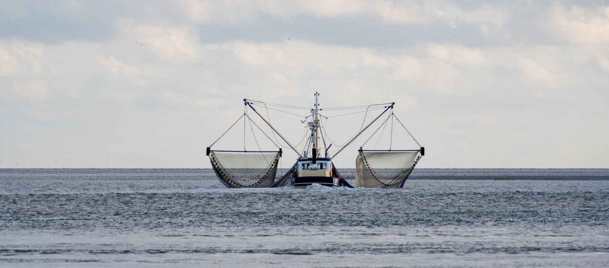 EP odobrio 6,1 milijarda eura za održivo ribarstvo i očuvanje ribarskih zajednica