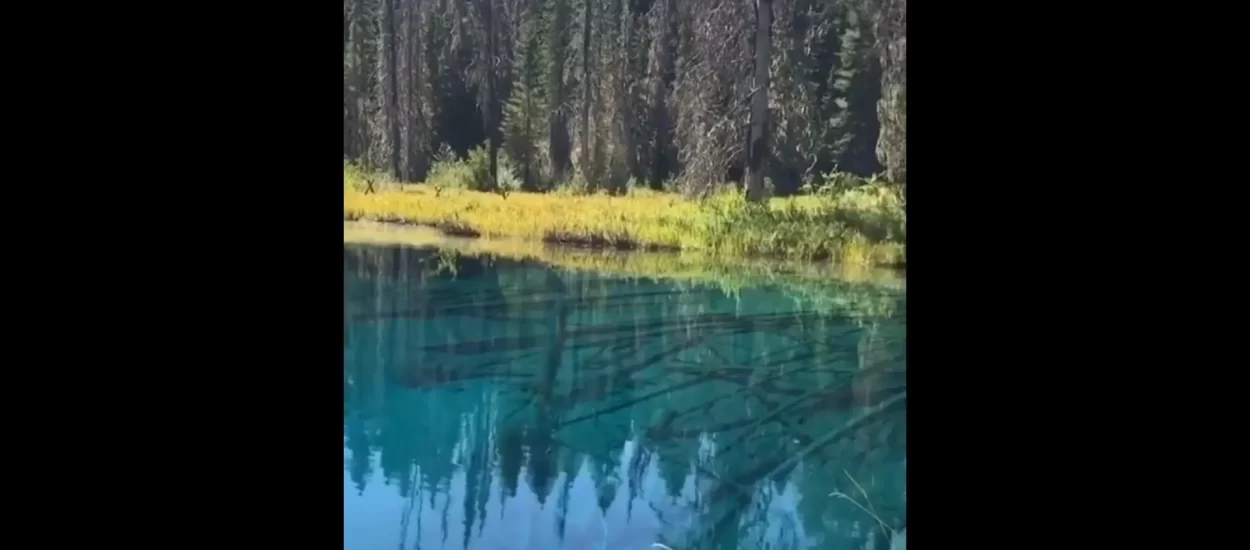 Predah u lijepom Mountu Hoodu, Oregon | VIDEO