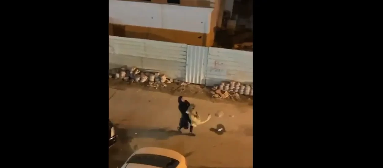 Gazdarica uhvatila nestašnu lavicu koja je šmugnula na proslavu Nove | VIDEO