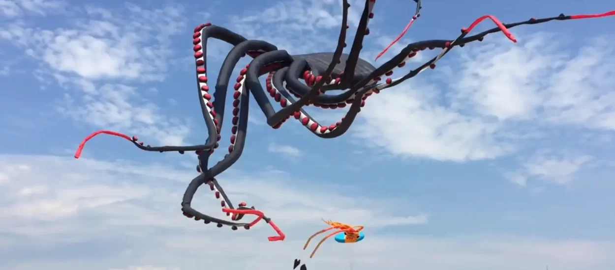 Gargantuanski lijepa zmajska hobotnica | VIDEO