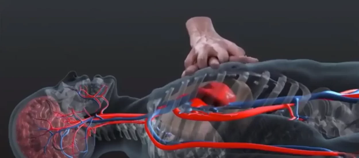 3D animacija masaže srca | VIDEO