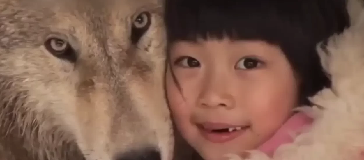 Djevojčica i vuk | VIDEO