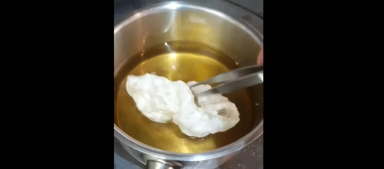 Prženje riblje kože | VIDEO