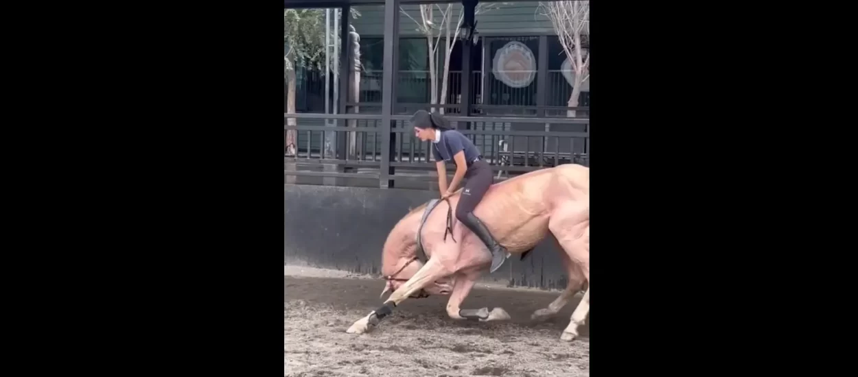 Graciozni naklon rasnog konja | VIDEO