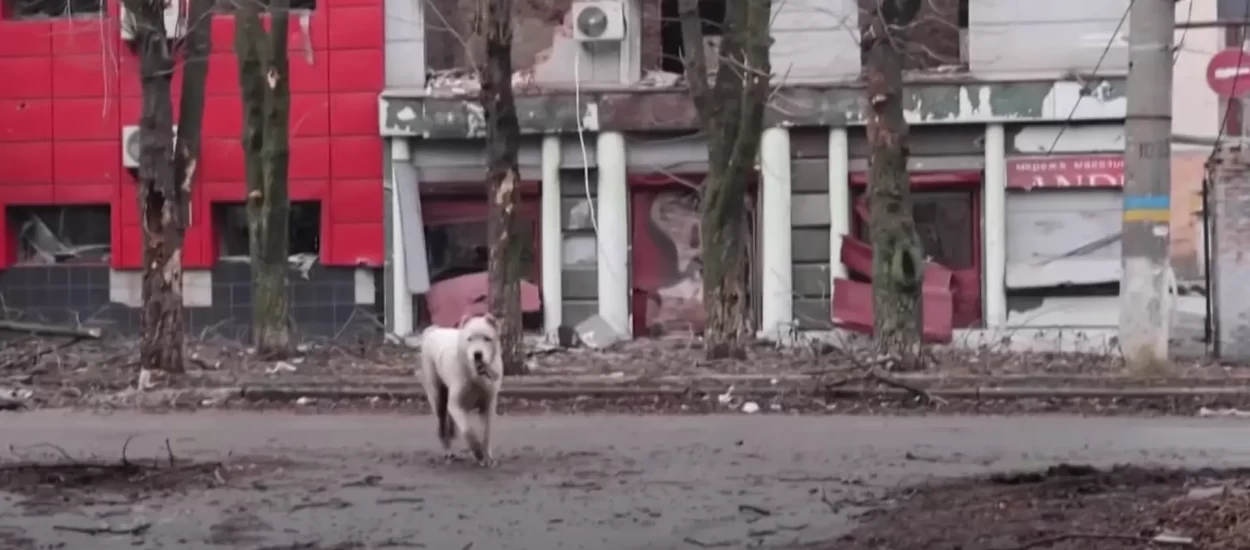 ‘Bijesan otpor’ Ukrajinaca, žrvanj života u Bahmutu | VIDEO