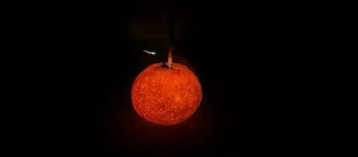Prskalica u mandarini | VIDEO