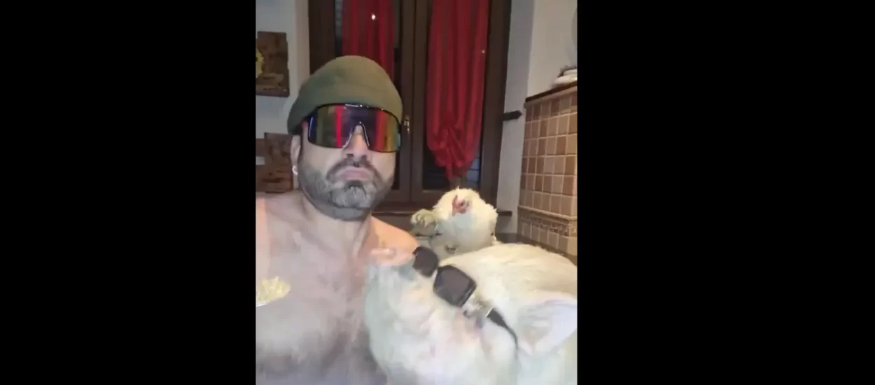 Gle muchacha kak žlicom tovi pajceka, pjeva ‘Born to Be Alive!’ u pratnji papige i kokoši 😁