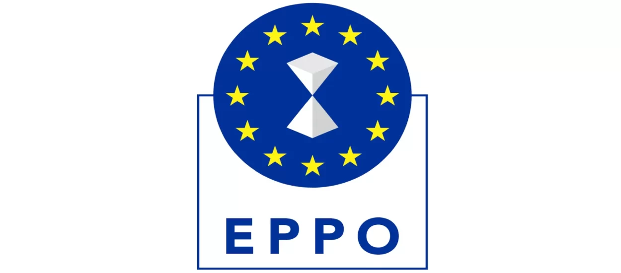 EPPO podigao 29 optužnica, naveo iznose, rezultate istrage korupcije na Geodetskom fakultetu